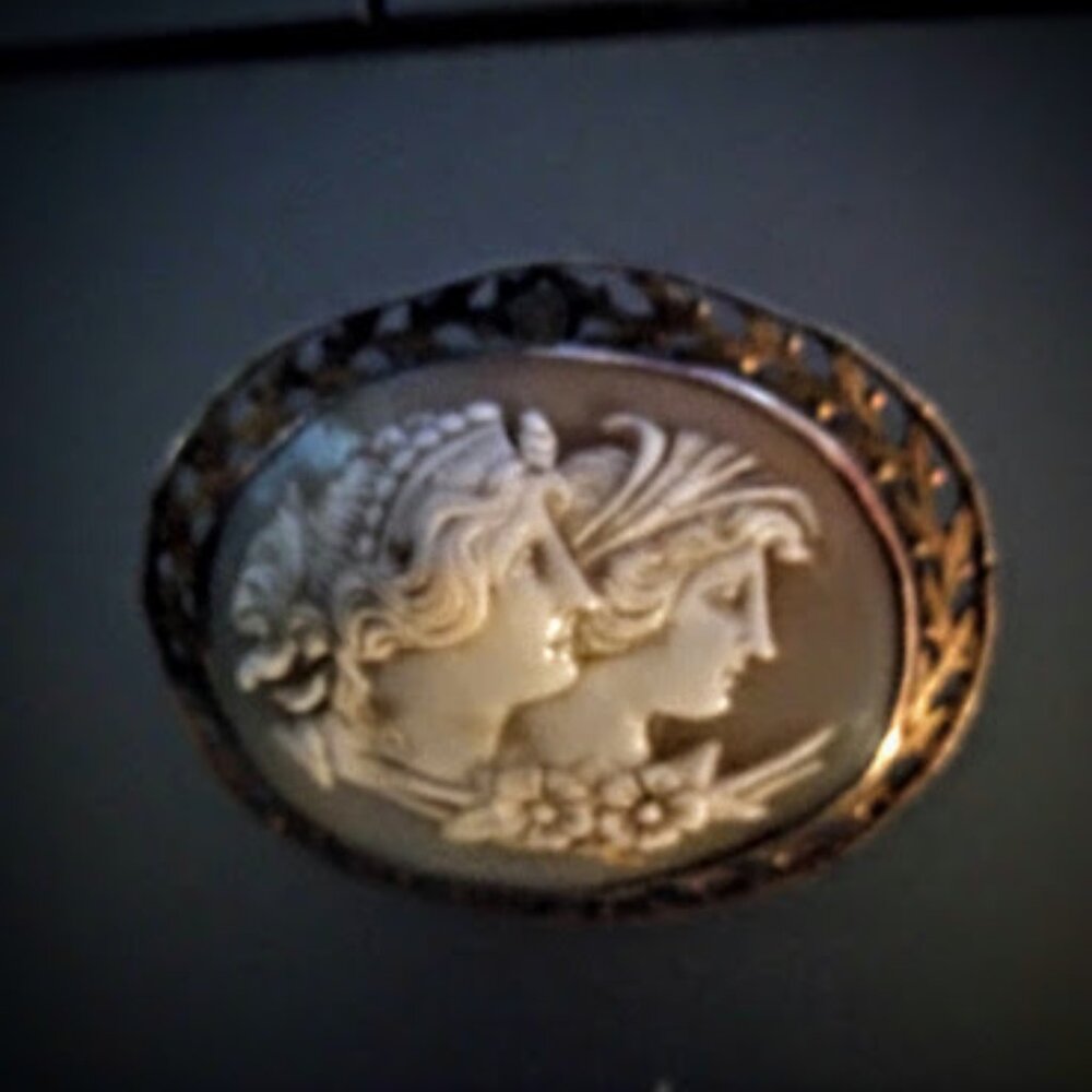 Carved shell cameo with 14k clasp.broach